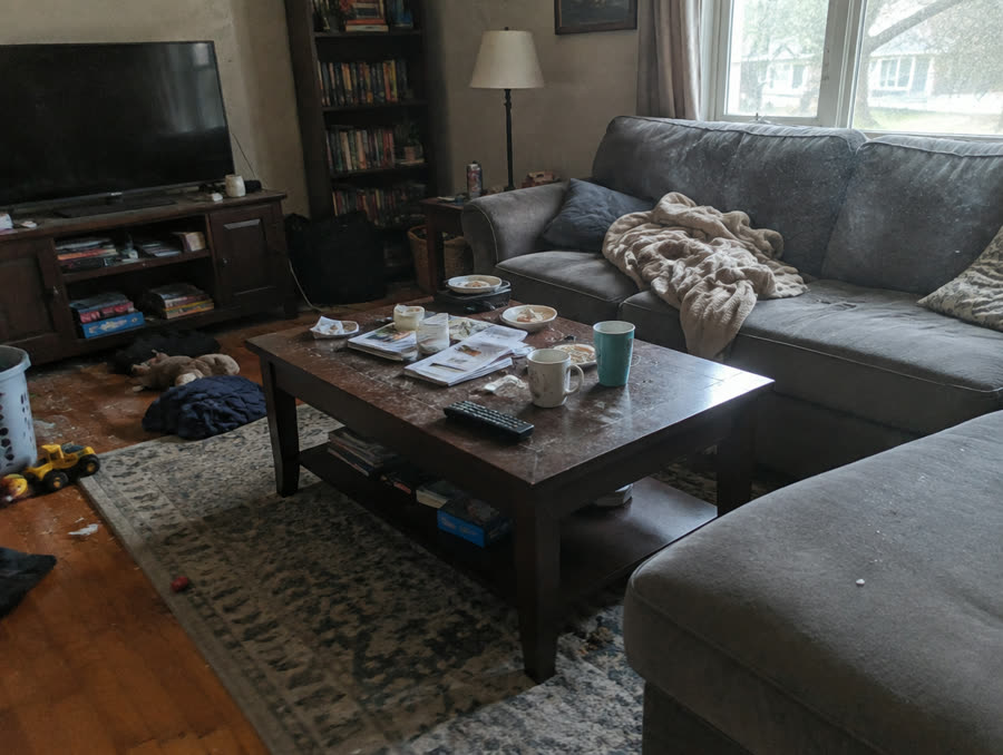 Living room before cleaning — cluttered and dusty